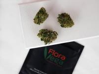 Inyo Fine Cannabis Dispensary image 7